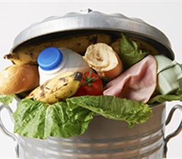 Quantifying, Reducing, and Repurposing Wasted Food