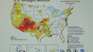 Mathematical Comparison of Drought Trends throughout the United States