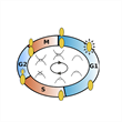 Temporal Clustering in Cell Cycle Dynamics