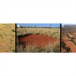Pattern-forming Instabilities in Dryland Vegetation and their Implications to Ecosystem Function and Management