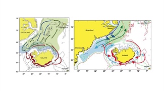 The Capelin: Key to Predicting Global Warming Effects on Arctic Environments
