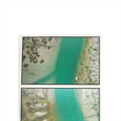 Pattern Formation in Intertidal Oyster Reefs