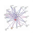 Building a Mathematical Toolbox for Biological Network Analysis