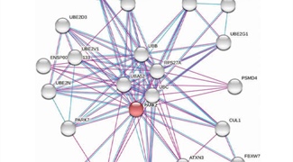 Building a Mathematical Toolbox for Biological Network Analysis