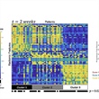 Fokker-Planck Dynamics Improve Multiscale Imaging of Head and Neck Tumors