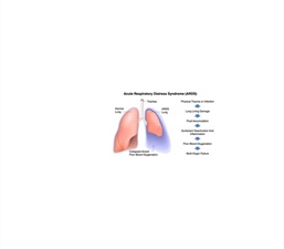 Data Assimilation Framework Sheds Light on Ventilator-induced Lung Injury