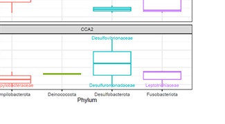 The Vaginal Microbiota and Its Association with Chlamydia