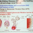 A Closer Look at Diabetic Kidney Disease