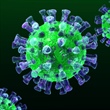 Modeling the MERS Epidemic