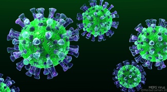 Modeling the MERS Epidemic