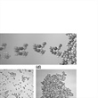 Self-assembly and Particle Aggregation in Stratified Fluids