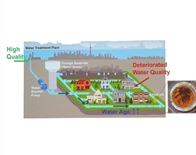 优化技术最大限度地实现供水系统的实时管理